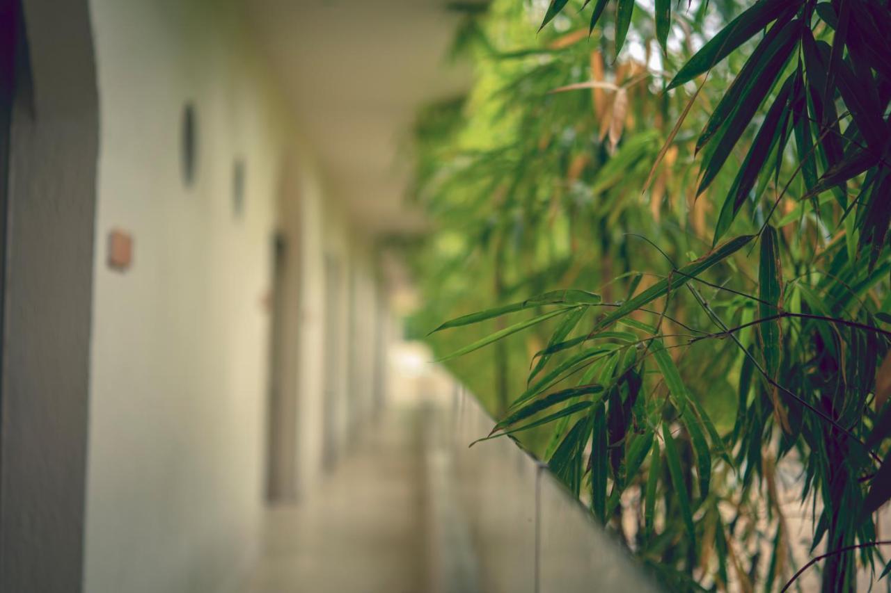 Loa Tolu By Bernalo Hotels Bagian luar foto